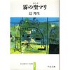 霧の聖マリ（辻邦生）