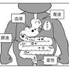 胃がんで便潜血は陽性にならないのか？