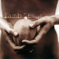 Lamb『Between Darkness and Wonder』(2003)｜美しき旋律と冷徹なビートが交錯する、シネマティック・エレクトロニカ