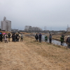 「七北田公園探鳥会/野鳥の会宮城県支部」で、イソシギを初撮影！