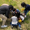 春の花が沢山！カナヘビも！