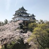 和歌山城で花見！「注意事項！」