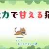 仕事復帰した飼い主と全力で甘えたい猫…  そしてご飯が美味すぎてペコさんが食べすぎた話😺
