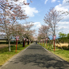 宮崎県都城市「母智丘(もちお)公園」へ行ってきました