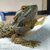 ダメダメ２日目