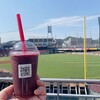 マツダスタジアム → 『わがまち魅力発信隊』へ今年も参加！　ブルーベリーの商品