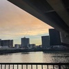 紐解く