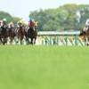 6R的中🎯 8/17,18,19 大井競馬場