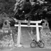 【出雲國】意多伎神社、同社坐御譯神社。