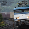2024/11/10 1063レ EF81 451号機