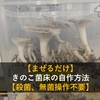 【まぜるだけ】超簡単！きのこ菌床の自作方法を解説【殺菌、無菌操作不要】