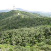 八重山旅行4日目　アンパル