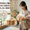 2段弁当のご飯は上？下？迷わない決め方と失敗しない詰め方のコツ
