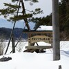 雪を溶かす花