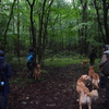 Summer Dog Holiday In 那須　2024