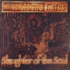 At the Gates - Slaughter of the Soul (1995)