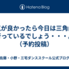 天気が良かったら今日は三角山に行っているでしょう・・・。（予約投稿）