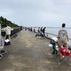 碧南海釣り広場 釣果 サバ祭り継続中！