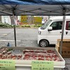 名古屋の広小路で回帰水イチゴとEMイチゴを売ってきました。