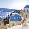 猫好き悶絶！「エーゲ海・猫たち楽園の島々」DVDで癒やしの猫旅へ