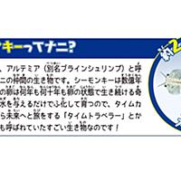シーモンキーとは 動植物の人気 最新記事を集めました はてな シーモンキーとは 動植物の人気 最新記事を集めました はてな