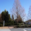 2025/01/30 武蔵野の森公園