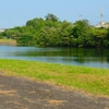 八重田池（三重県松阪）