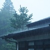 恵みには強い雨だが