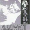 plexiwatt-aMINIATURE(CD)