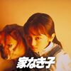 ドラマ『家なき子』(1994)全12話 ネタバレあり感想