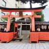 観亀稲荷神社 クローバーと猫