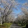 桜の園