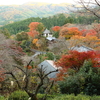 善峯寺からの紅葉