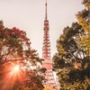 選べること／選べないこと