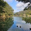 島にカンガルー！？大入島の歩き方