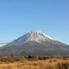 今年の年賀状の写真は富士山