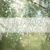 伊勢神宮で雨が降ったらチャンス？スピリチュアルな意味とサインとは？