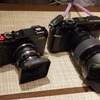 【鎌倉スナップ】X-E1, GEEKSTER 35SとiPhone 11で円覚寺、あじさい寺、建長寺、鶴岡八幡宮をスナップ