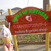 HOME OF MOTHERS ジェラート