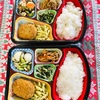 本日のお弁当