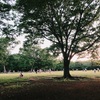 子どもと公園で遊ぶ時間を大切にする1日🌳