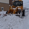 夜だるま速報／庄内で大雪