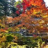 京都の紅葉2025②！大原三千院～苔の絨毯 、照り紅葉。お地蔵様もほほえんで