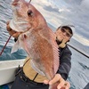 青森平舘海峡、テンヤマダイ