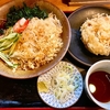 そば政【蕎麦政】（足立区南花畑 六町駅）冷したぬきそば＋かき揚げ