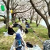 花見とOM1注文