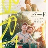 映画『バード　ここから羽ばたく』あらすじと評価／アンドレア・アーノルド監督による少女の成長物語