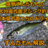 【ずんだもん解説】限界ずんだもんの大分県方面アジング釣行。熊本県方面からのドライブ【2023.11.28-29】