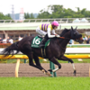土曜競馬　展望