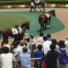 東京競馬4R パドック直前予想 ◎2 コスモオリオン